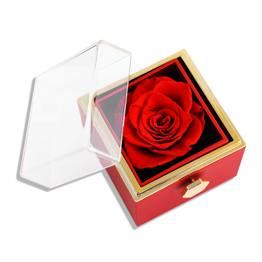 Caixa Rosa Eterna & Colar Amor Infinito